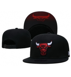 Chicago Bulls NBA Snapback Cap 032