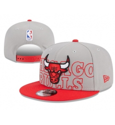 Chicago Bulls Snapback Cap 006