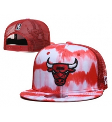 Chicago Bulls Snapback Cap 013