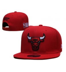 Chicago Bulls Snapback Cap 019