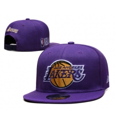 Los Angeles Lakers Snapback Cap 010