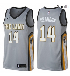 Youth Nike Cleveland Cavaliers 14 Terrell Brandon Swingman Gray NBA Jersey City Edition 