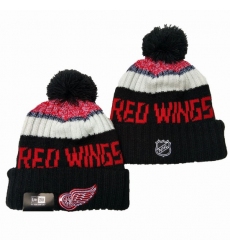 Detroit Red Wings Beanies 002